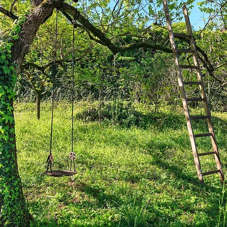 Belvedere - By Impero House *