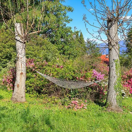 Belvedere - By Impero House